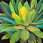 Jillian David Agave